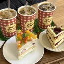 군자애견 이미지