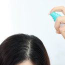 스타일링 카케어 | 올영샴푸추천 신상 루테카 360° 뿌리볼륨 샴푸 앰플 헤어토닉 후기