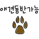 반디하우스캠핑장 이미지