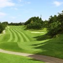 그린프라자 앞 이미지