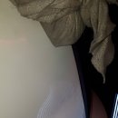 동훈카플러스 이미지