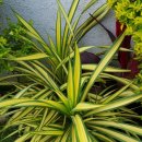 네이처 잉크 이미지