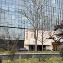 두리프라자 | 상하이 여행 총정리 진짜 찐 리얼후기