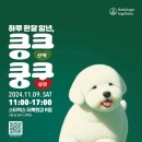 한국베링거인겔하임동물약품(주) 이미지