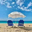 용인대 꿈나래 태권도 이미지