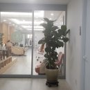 예영준한의원 이미지