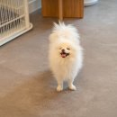 써니 애프터눈 이미지