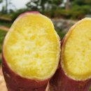 무안농장 이미지