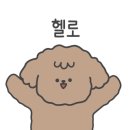 낙지이야기대명점 이미지