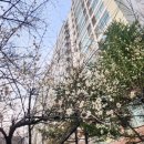 과천역 7번 출구(내점길) 이미지