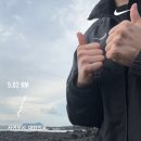 240923 - 240929 기쁘지만은 않은 판교 복귀, 제주도 혼자 여행 도전, 대전=성심당