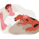 안양김준동물병원 이미지