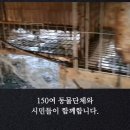 두드림나인