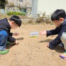 그림나라유치원 이미지