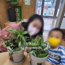 대덕초등학교(병설) 이미지