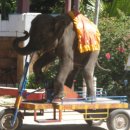 (주)박상 이미지