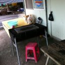 모래밭 민박 이미지