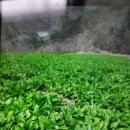 꿈의농장 이미지