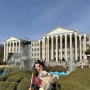 퍼피포피 이미지