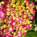 준이농장 이미지