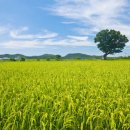 해남군-02 이미지