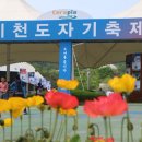 미플러스치과 네이버블로그