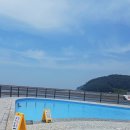 꽃지가는길 | 안면도 꽃지해수욕장 다녀온 후기 🌊 모래조각 전시까지 볼 수 있었던 태안 바다 나들이