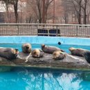 동아위생 이미지