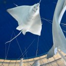 코롱팜 | 20주 나 혼자 태교여행#5 : 아쿠아플라넷 일산 다녀온 후기(스압주의)