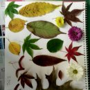 청운노인대학 이미지