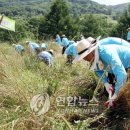 단양축산업협동조합소백산관광목장