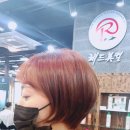 레드미컬헤어 이미지