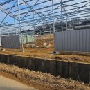 고려태양광발전소 이미지