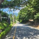 남의로-1 이미지