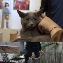 소용농장 이미지