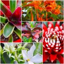 상동호수공원 이미지