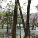 아랫샘어린이공원 네이버블로그