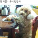 푸지미