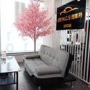 선경렌트카 이미지