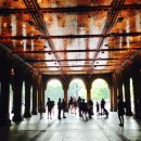 테라스파크 콘서트 이미지