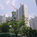 부영약국 이미지