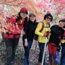 러브홀릭 이미지