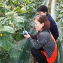 늘푸름농장 이미지