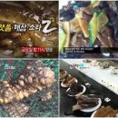 부산해물유통 이미지