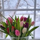 1096 | 사랑 명상 1096