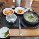 화지해장국 | 내돈내산후기 소머리국밥 맛집 유성화지해장국 구암동소머리국밥 구암동맛집국밥 소머리국밥맛집