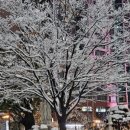 권가네 의정부부대찌개 이미지