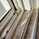 금빛크린 이미지