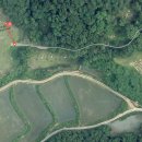 진화 묘 이미지