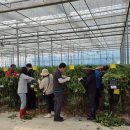 문화체육시설사업소 이미지